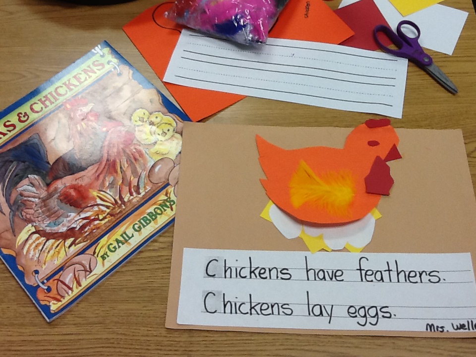 Chicks and Chickens – Integrate Science, Art and Kindergarten Writing all into One Lesson!